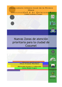 Nuevas Zonas de atención prioritaria para la ciudad de Cozumel