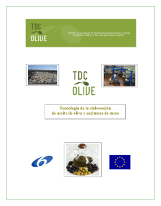 Tecnología de la elaboración de aceite de oliva y aceitunas de mesa