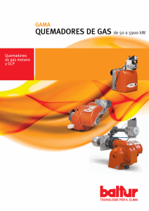 QUEMADORES DE GAS de 50 a 5900 kW