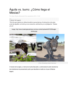 Águila vs. burro