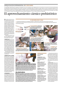 EL Descarne - Diario de Atapuerca