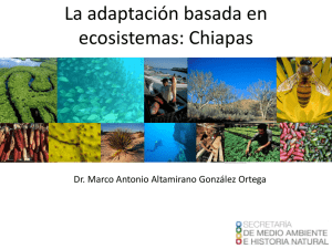 La adaptación basada en ecosistemas