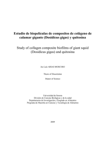 Estudio de biopelículas de compositos de colágeno de calamar