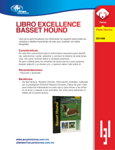 libro excellence basset hound