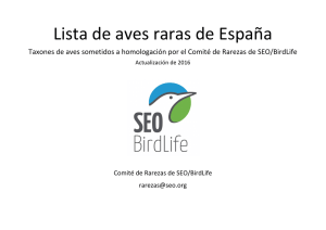 Lista de aves raras de España 2016
