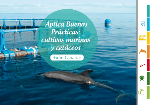 Publicación "Aplica Buenas Prácticas: cultivos marinos y cetáceos"