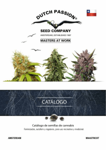 Catálogo de semillas de cannabis