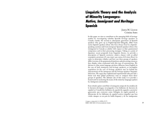 Linguistic Theory and the Analysis of Minority Languages