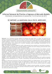 Informe Nro 4 - Mercado Modelo
