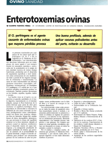 Enterotoxemias ovinas
