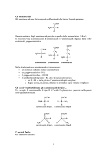 1 Gli amminoacidi Gli amminoacidi sono dei composti polifunzionali