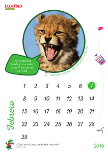 calendari LDP junior OK_1602