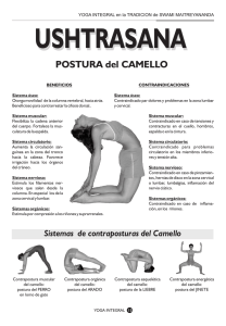 POSTURA del CAMELLO - Revista Yoga Integral