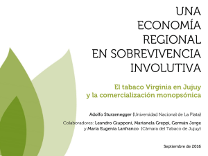 presentación Una Economía Regional en Sobrevivencia Involutiva.