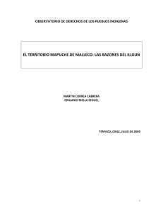 el territorio mapuche de malleco: las razones del illkun