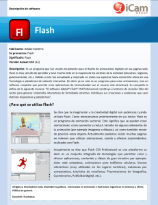 ¿Para qué se utiliza Flash?