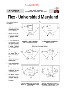 Flex - Universidad Maryland