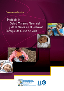 Documento técnico: Perfil de la salud materno neonatal y