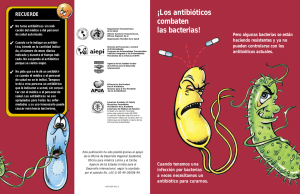 ¡Los antibióticos combaten las bacterias!