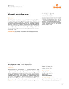 Pielonefritis enfisematosa