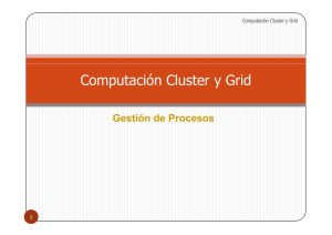 Computación Cluster y Grid