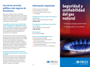 Seguridad y confiabilidad del gas natural
