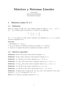 Notas sobre Matrices y Sistemas .