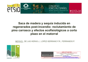 Sesión 2.4 / Com 6 - congreso forestal español