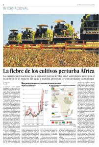 La fiebre de los cultivos perturba África