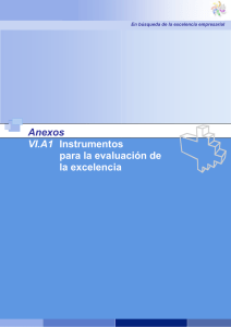 Anexosla VI.A1 Instrumentos para la evaluación de la excelencia
