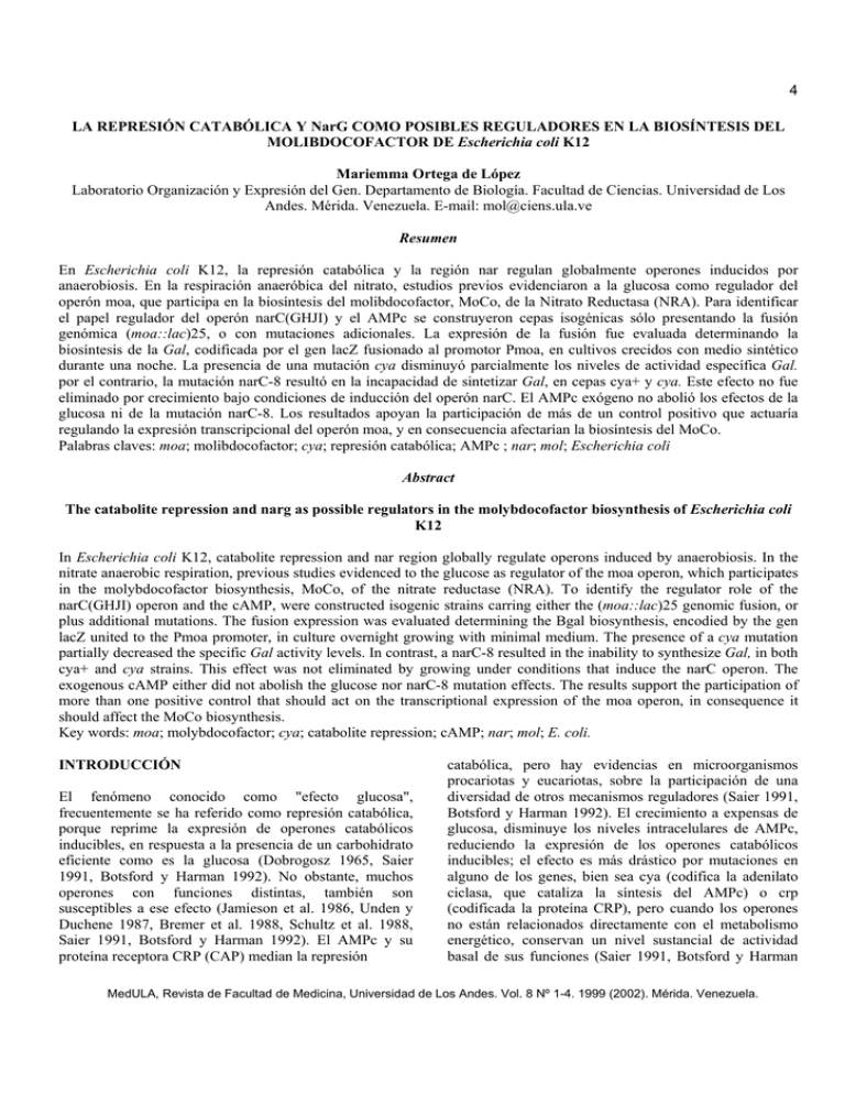 4 LA REPRESIÓN CATABÓLICA Y NarG COMO