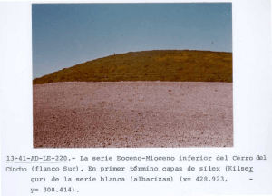 13-41-AD-LE-220 .- La serie Eoceno-Mioceno inferior del Cerro del