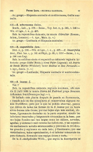 Ar. geogr.—Hispania centralis et mediterránea, Gallia aus tral is. 818.