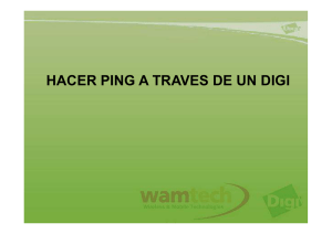 Hacer Ping Digi Connect Wan 3G