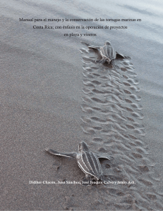 Manual para el manejo y la conservación de las tortugas marinas en