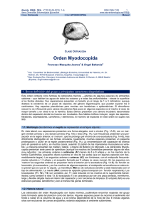 Orden Myodocopida
