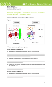 Actividad: Transportes a través de la membrana