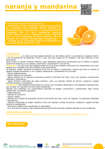 naranja y mandarina