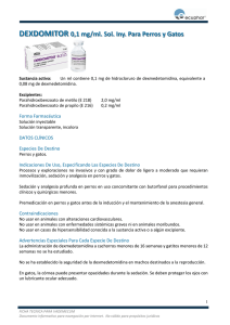DEXDOMITOR 0,1 mg/ml. Sol. Iny. Para Perros y Gatos