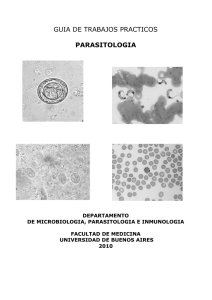 guía de t.p. parasitología - Facultad de Medicina