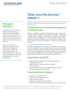 Hoja de datos Wide Area File ServicesTM (WAFSTM)