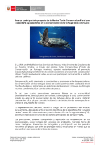 Imarpe participará de proyecto de la Marine Turtle Conservation