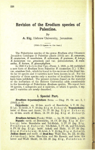 Revision of the Erodium species of Palestine.