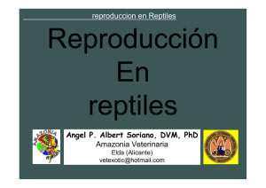 reproduccion en Reptiles Angel P. Albert Soriano, DVM, PhD