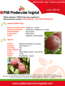 MELOCOTÓN - LOLA (292-8PJ) - PSB produccion vegetal SL