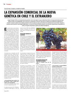 la expansión comercial de la nueva genética en chile