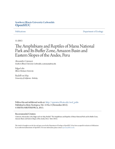 The Amphibians and Reptiles of Manu National Park