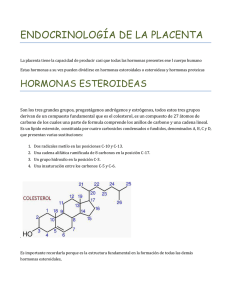 ENDOCRINOLOGÍA DE LA PLACENTA