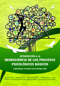Descargar - Laboratorio de Procesamiento de Neuroimágenes UNC