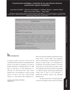 Vol. 36 páginas 33-39 - Revista Mexicana de Micologia